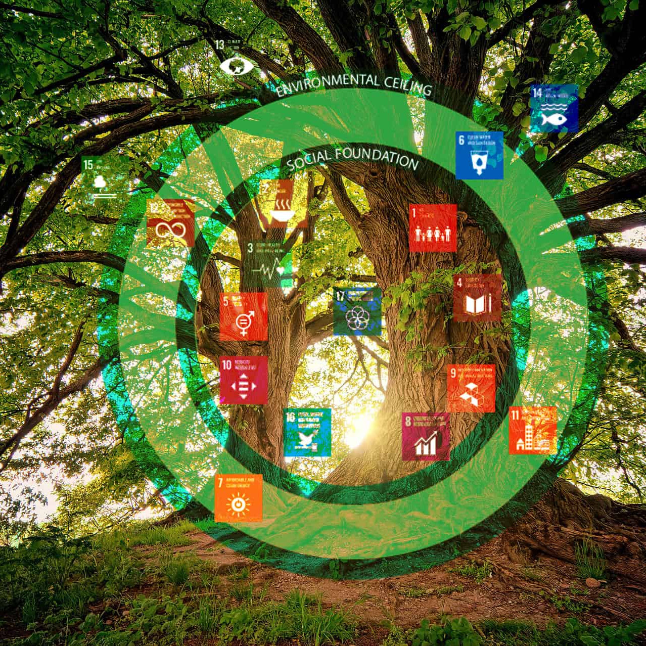 A tree overlayed with the SDGs and Doughnut Model